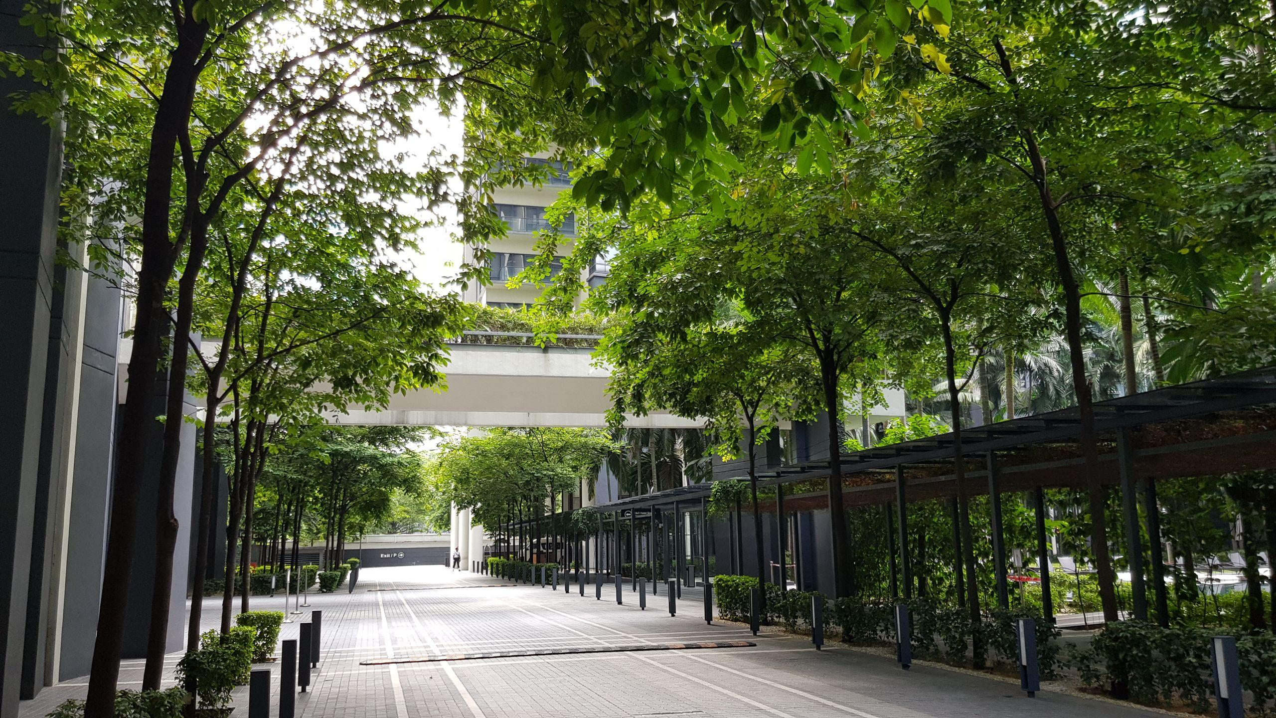 20200508_163733-compressor